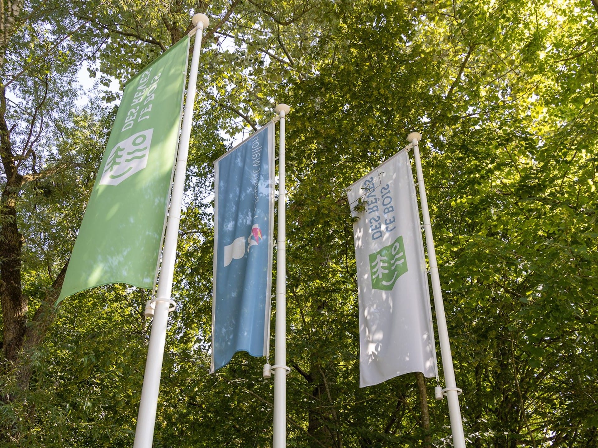 Photo de 3 drapeaux suspendus. 2 sont ceux du bois des rêves et le 3e celui de la Province du Brabant Wallon