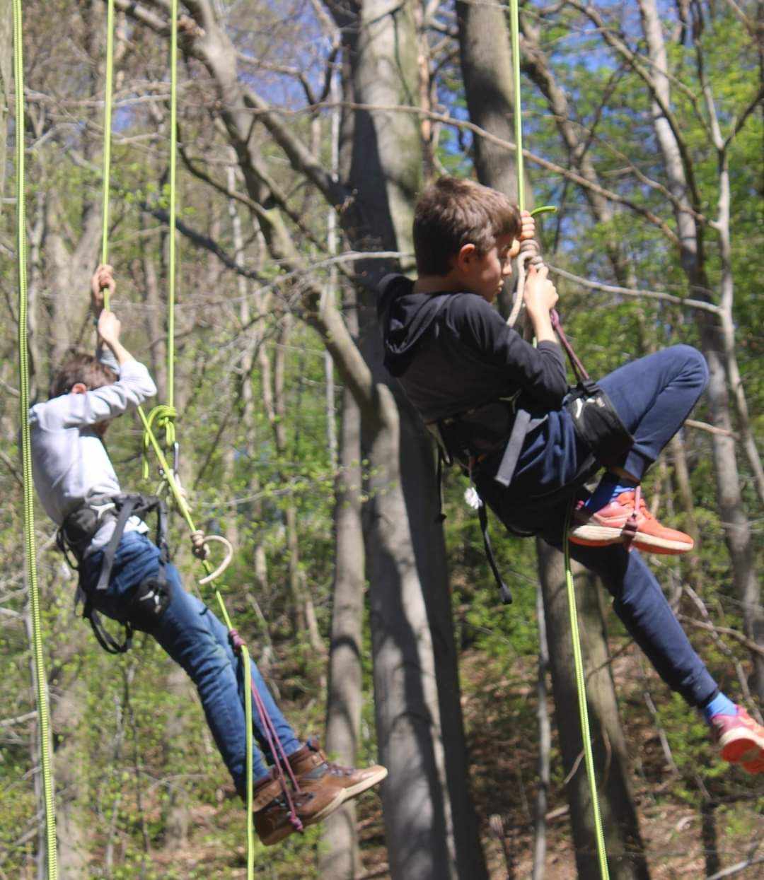 2 enfants faisant de la grimpe dans les arbres à l'aide de cordes