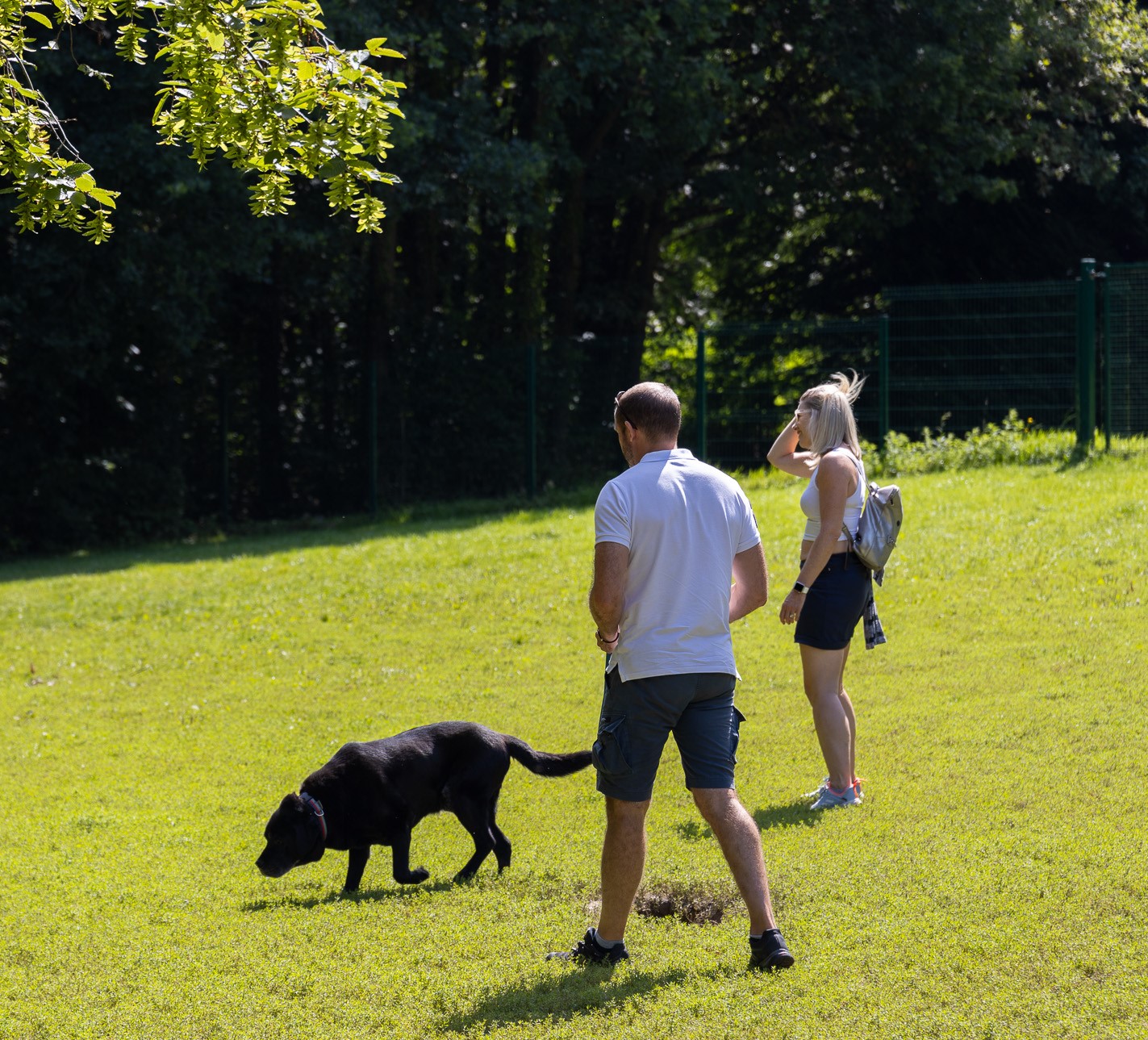 Photo d'un couple dans une plaine verte jouant avec leur chien noir